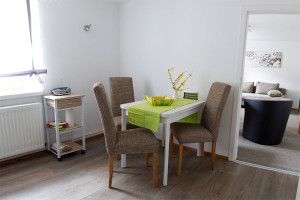 Ferienwohnung Müglitztal Küche2